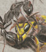 tattoo galleries/ - jumper and bee